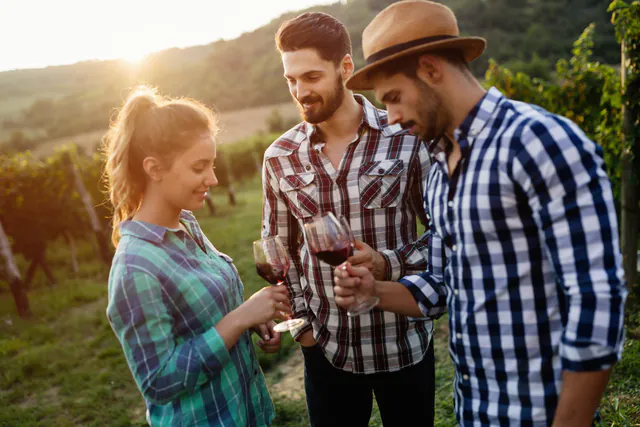 Wachau-vallei tour in kleine groep met wijnproeverij