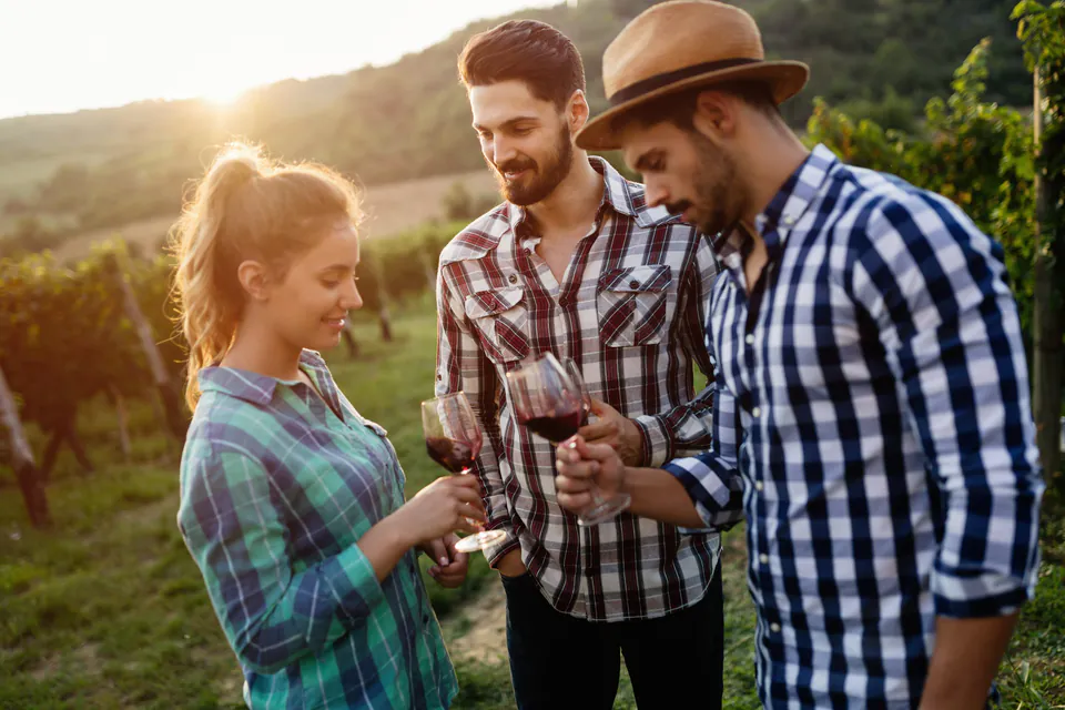 Wachau-vallei tour in kleine groep met wijnproeverij