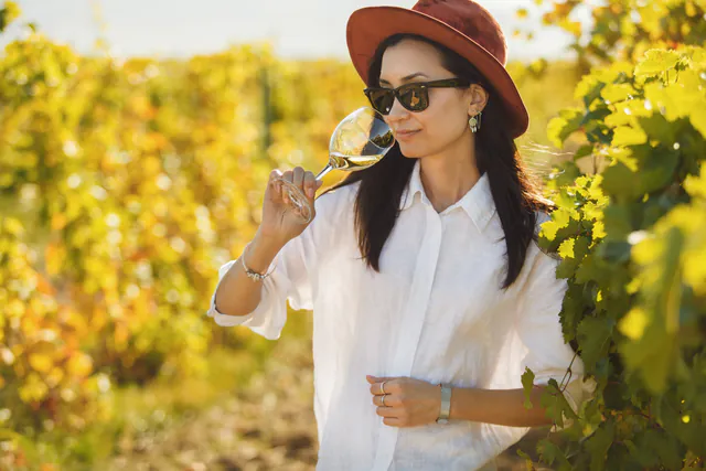 瓦豪河谷小团游及品酒体验 gallery 2