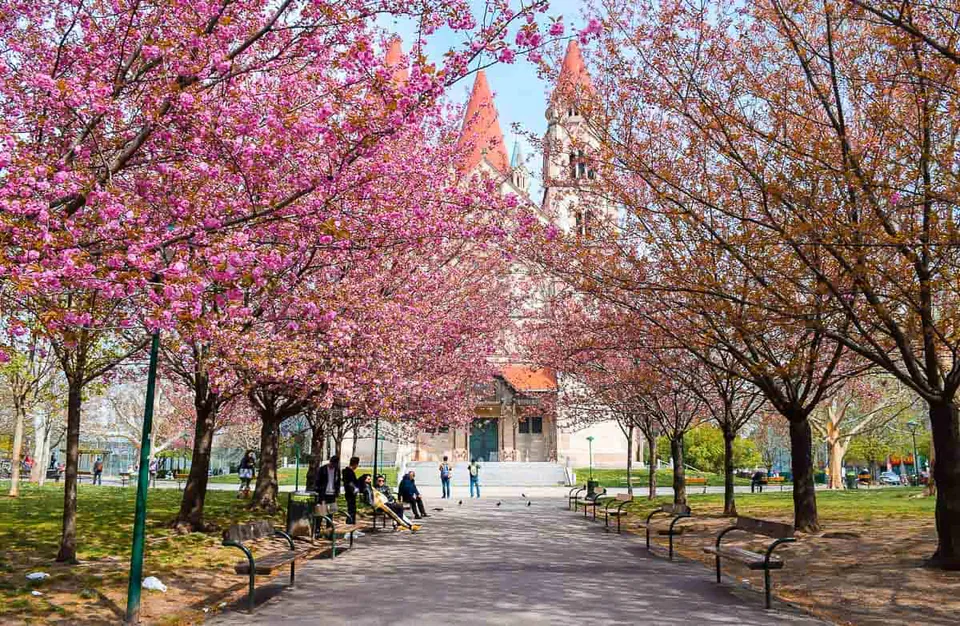 春季维也纳:地道本地旅行指南 — 天气与预期:应对春季的冷暖交替