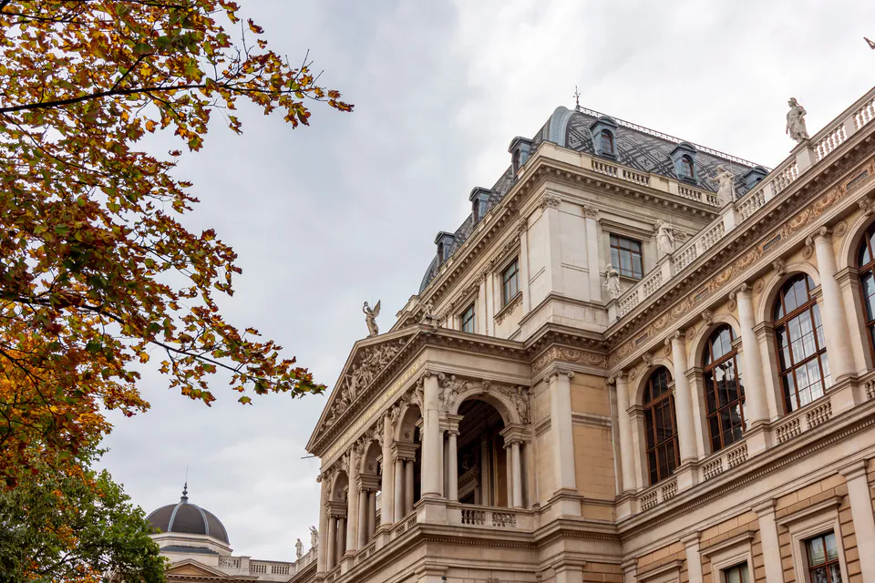 Uncorking Vienna: The Ultimate Local Guide to Urban Vineyards, Heurigen, and Wine Bars — Autumn Magic: The Cult of Sturm and its Etiquette