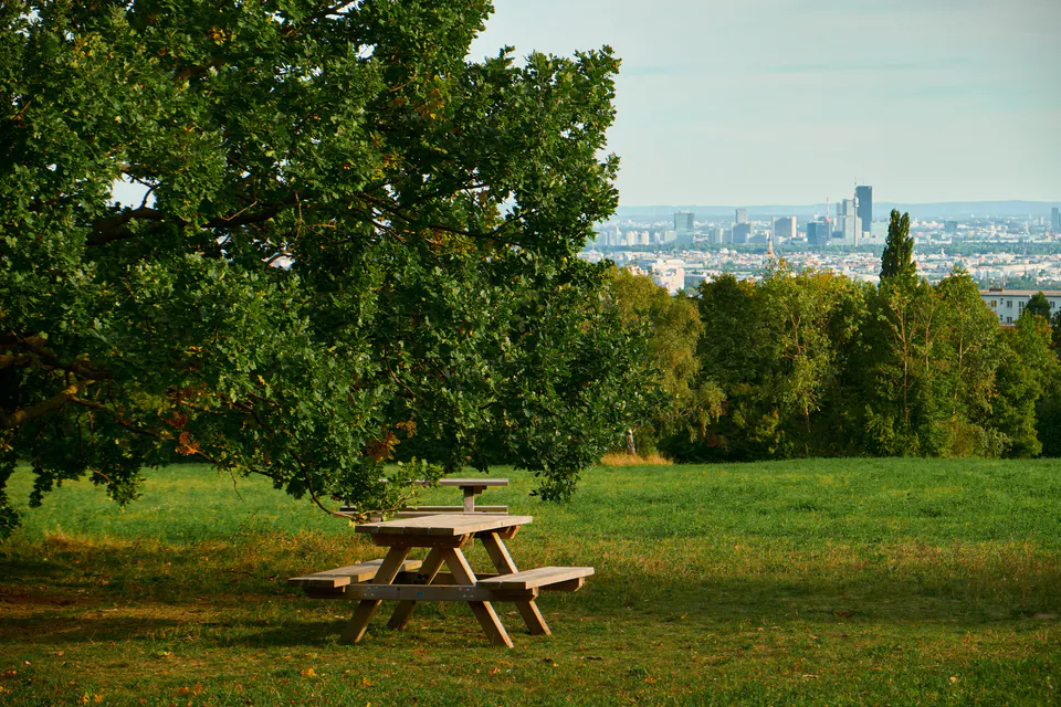 Wienerwald Guide — Kahlenberg und Leopoldsberg: Gipfel mit Aussicht