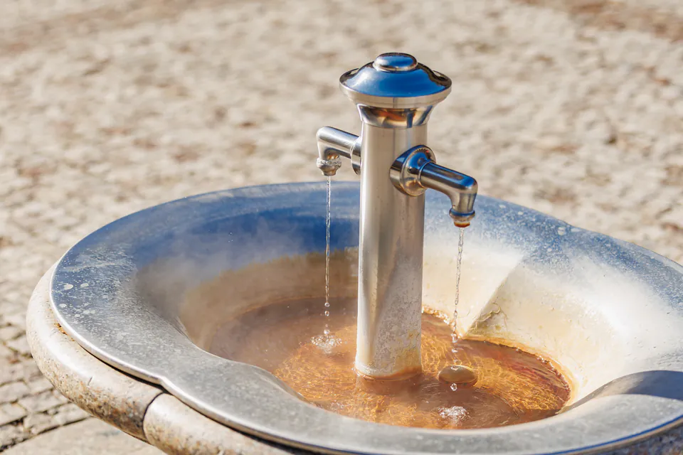 Navigating Healthcare & Pharmacies in Budapest: A Local’s Field Guide — Water, Teeth, and Ticks: Specific Local Risks