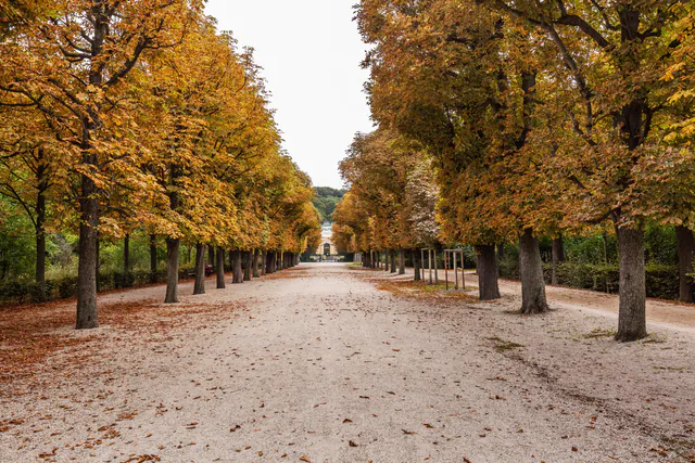 Château de Schönbrunn — photo 5