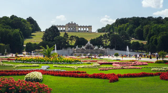 Vienna Classical Music & Opera Guide: Insider Tips & Hidden Harmonies