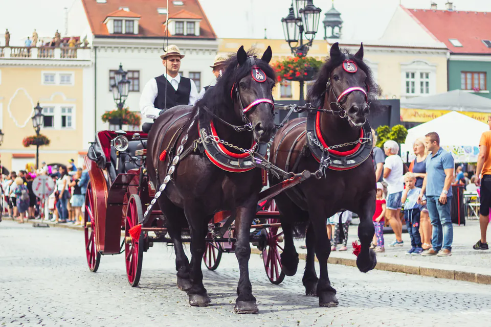 Horse-drawn carriage with driver in traditional dress during wine festival procession at Buda Castle