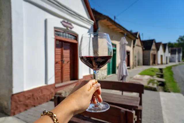 Countryside Half-day Gastro-Wine Tour from Budapest — The Tasting Experience
