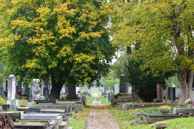 Wiener Zentralfriedhof — photo 6