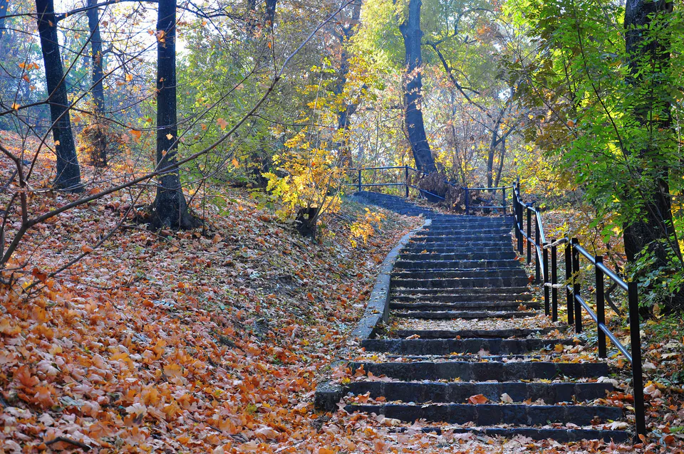 Stone steps winding through autumn forest with fallen leaves and handrails