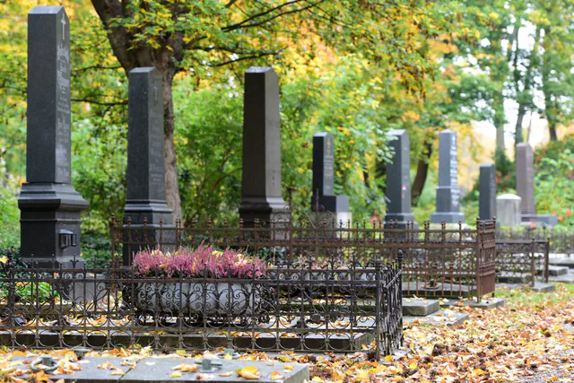 Wiener Zentralfriedhof — photo 5