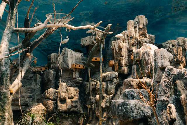 Prague Zoo — photo 6