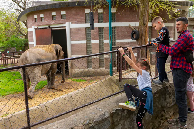 Budapest Zoo & Botanical Garden — Family Activities