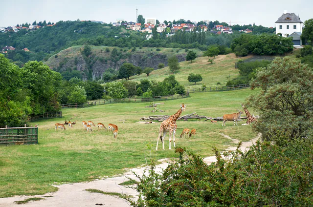 Prague Zoo