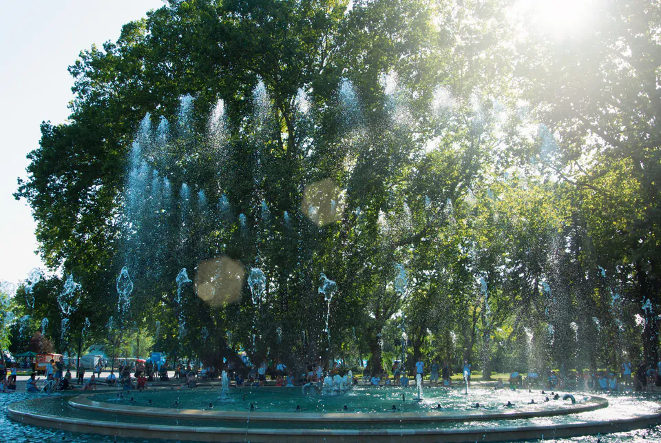 Musical fountain spraying water jets against sunlit trees on Margaret Island