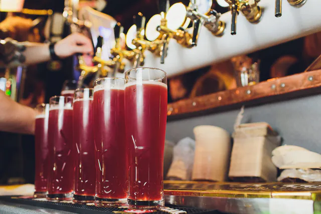 Delicious Prague Food Tour by Prague Food Tour — Liquid Alchemy: The Supremacy of Czech Brewing and the Moravian Wine Renaissance