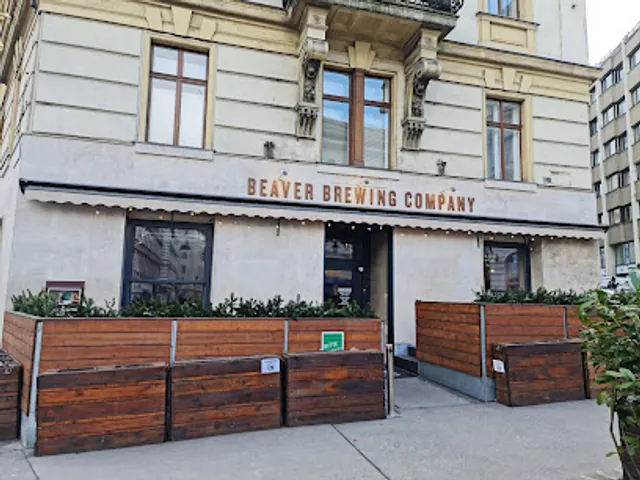 Vienna Craft Beer Guide: Microbreweries, Taprooms, and Local Pints — Brewpubs and Tank Beer: Beaver Brewing and Vienna Kraft