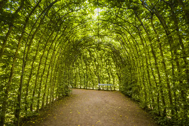 美泉宫花园 — photo 11