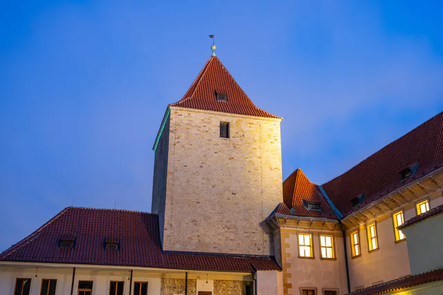 Starý královský palác — photo 11