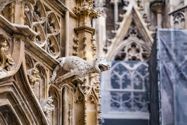 圣斯蒂芬大教堂 — photo 12