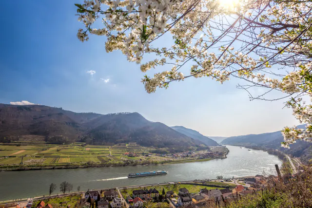 Excursão de um dia ao Vale do Danúbio saindo de Viena — A Jornada e as Paradas