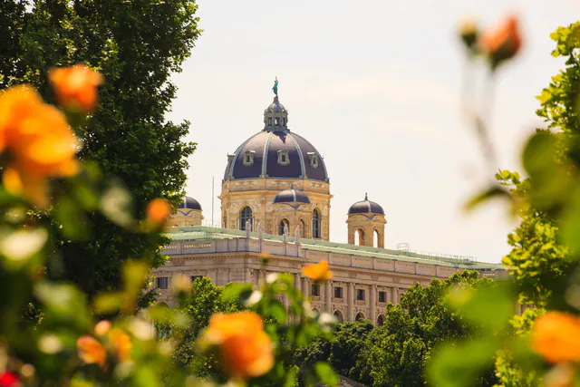 维也纳 3 日终极行程：从皇家壮丽到隐秘酒馆 — 小众秘境与学术奇趣