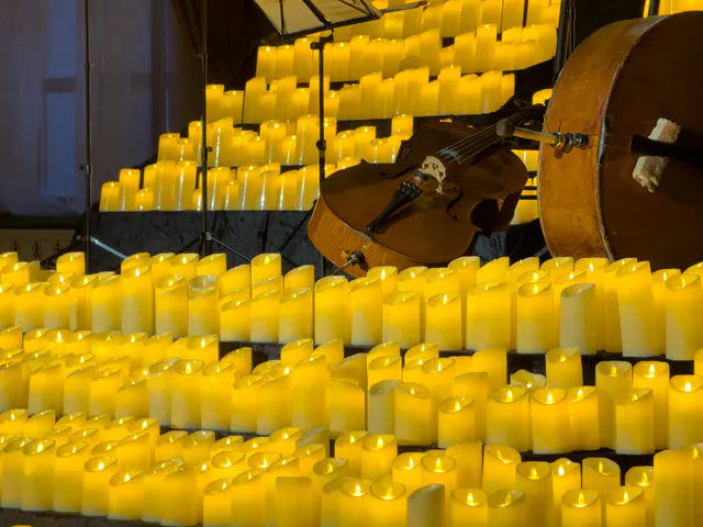 查理教堂维瓦尔第《四季》古典音乐会 — 体验详情