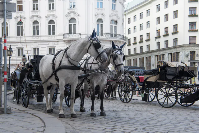 Graben und Kohlmarkt — photo 10
