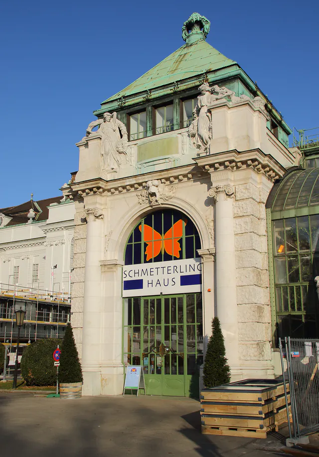 La Maison des Papillons — photo 3