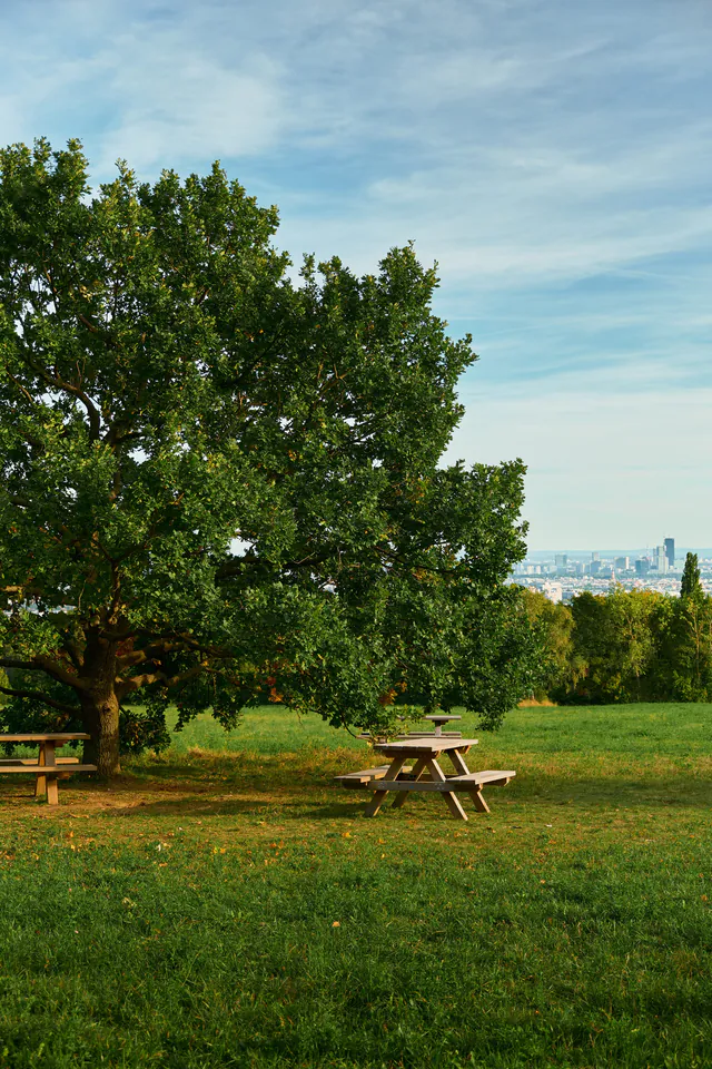 卡伦山 — photo 8