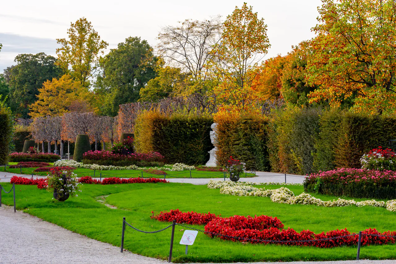 Otoño en Vienna: cosechas de vino, follaje otoñal y ganso asado
