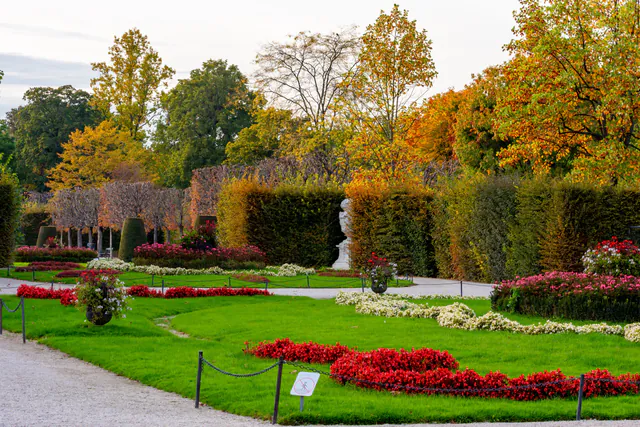 Autumn in Vienna: Wine Harvests, Fall Foliage, and Roasted Goose