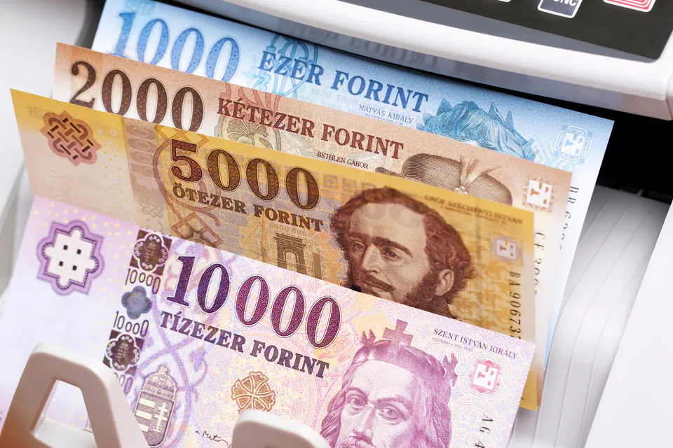 Hungarian Forint banknotes and coins