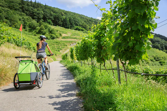 Wachau-Radtour mit Weinverkostung gallery 1