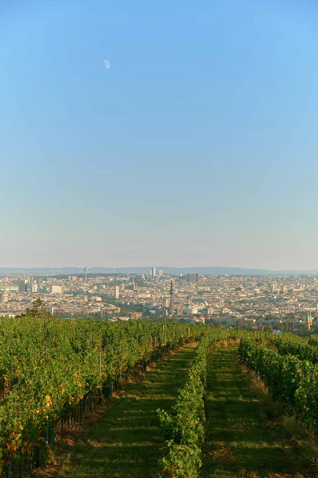 卡伦山 — photo 12