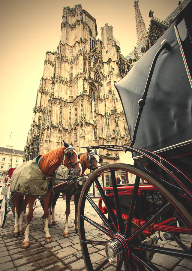 圣斯蒂芬大教堂 — photo 4